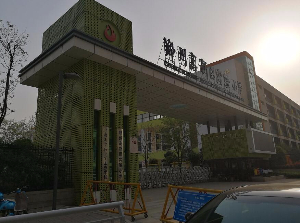 郑州高新区实验小学大门铝单板